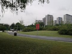 -九里河湿地公园