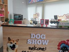 -柴源莊·柴小宠柴犬咖啡