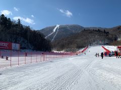 -亚布力新体委滑雪场