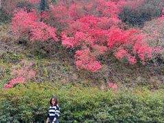 -木兰云雾山