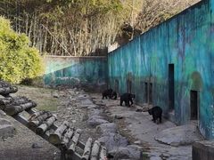 -宁波野生动物园