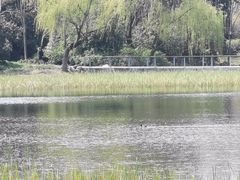 -长广溪湿地公园