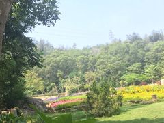 -森林公园(尖草坪区)