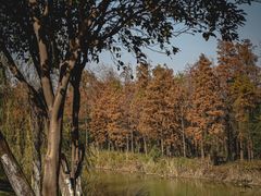 -艾溪湖湿地公园