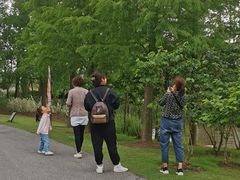 -上海长兴岛郊野公园