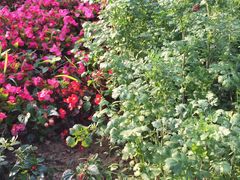 -金石唐风国际温泉会馆