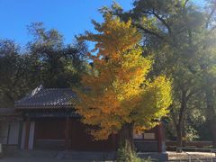 -潭柘寺景区
