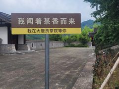 -大唐贡茶院