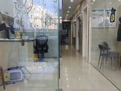 -瑞派天使宠物医院·神经外科·骨科·核磁CT(洛川中路店)