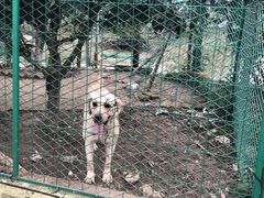 -呼吸森林·生态农庄农家乐私房菜