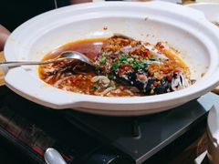 -新白鹿餐厅(百联中环店)