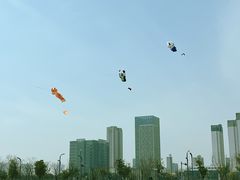 -澹台湖公园