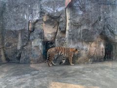 -南昌动物园