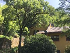 -东明山森林公园
