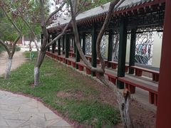 -桃花堤公园