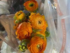 -循礼门鲜花花市(武汉循礼门店)