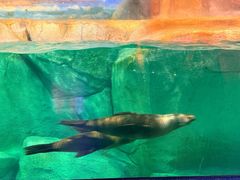-福州罗源湾海洋世界旅游区