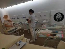 -海豚湾高端月子会所(黄浦店)