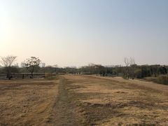 -盘龙城国家考古遗址公园