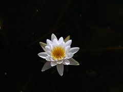 -香山公园