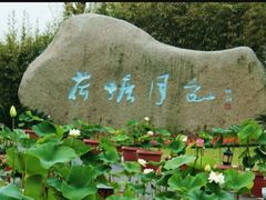 -荷塘月色湿地公园·向阳花洲
