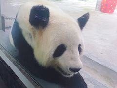 -太湖湖滨国家湿地公园-停车场