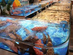 -喜宴又一村·粤菜·茶点·海鲜(壹方天地店)