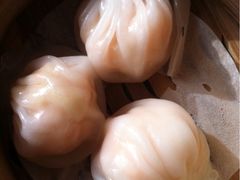 虾饺-银帆宾馆-自助餐厅(金马路店)