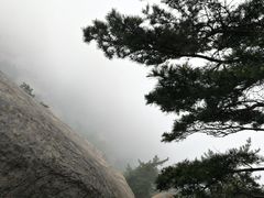 -崂山仰口游览区