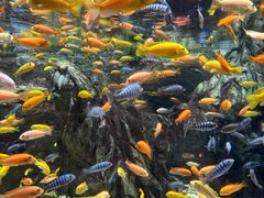 -太平洋海底世界