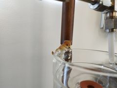 -铁手珈琲制造局metalhands(望京店)