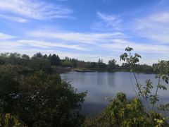 -东郊湿地公园