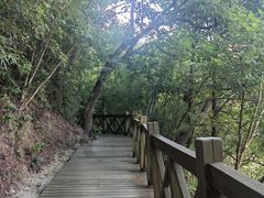 -广州市流溪河国家森林公园