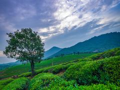 -敬亭山风景名胜区