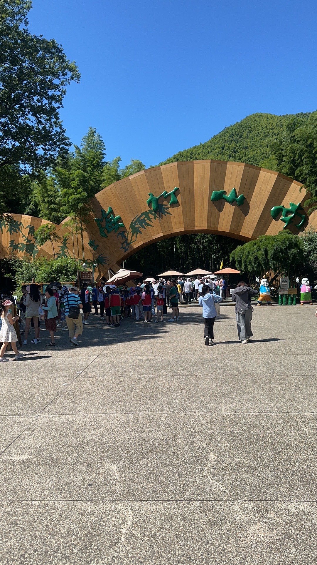 南山竹海资料图片