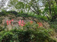-句容茅山景区