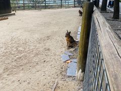 -苏州太湖西山岛开心农场