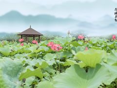-嘉北郊野公园