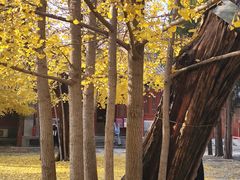-承恩寺