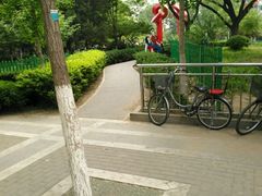 -双榆树公园