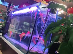 -李先生牛肉面大王(成都东站西广场店)