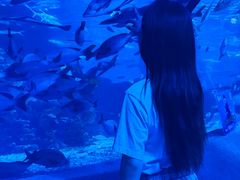 -太平洋海底世界