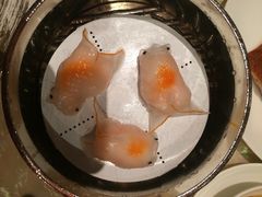 8餐厅-8餐厅(新葡京酒店)