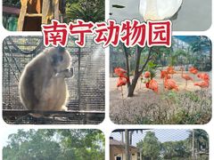 -南宁市动物园