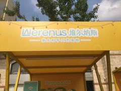 -维尔纳斯·生日蛋糕动物奶油冰淇淋蛋糕(人大店)