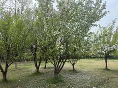 -钟山体育运动公园