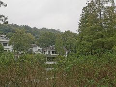 -杭州花家山庄