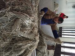 iphone_upload_pic-中国宣纸文化园