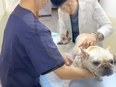 -美联众合动物医院·24h转诊中心