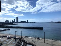 -大阪海游馆